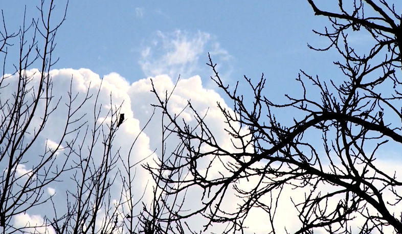 Դեկտեմբերի 20-ից կանխատեսվում են տեղումներ