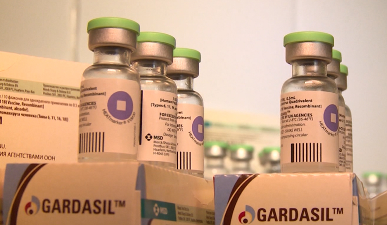 Papillomavirus vaccination issue reaches Parliament