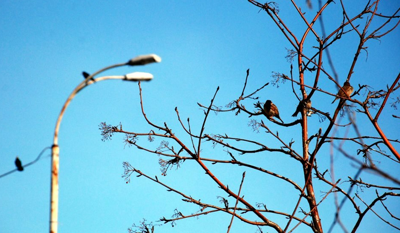 Temperature to rise by 4-5 degrees at night