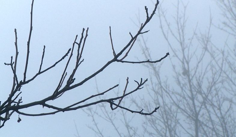 Անձրևները կշարունակվեն