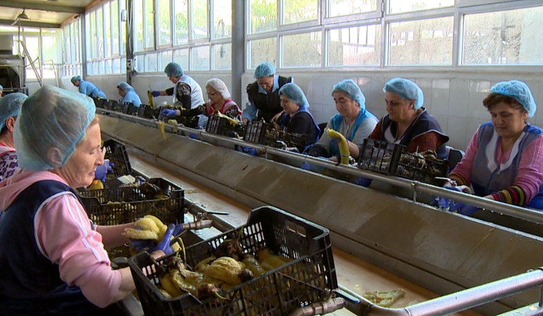 Մթերման վճարումները գրեթե կատարվել են, գյուղտեխնիկան՝ թարմացվել