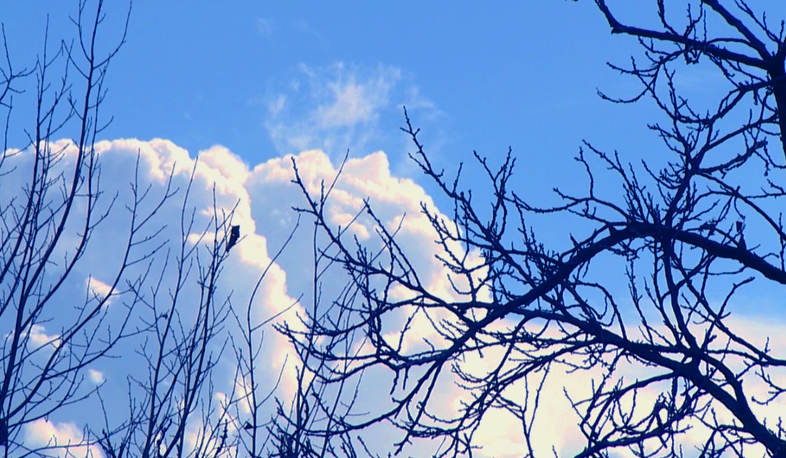 Տեղումներ չեն լինի