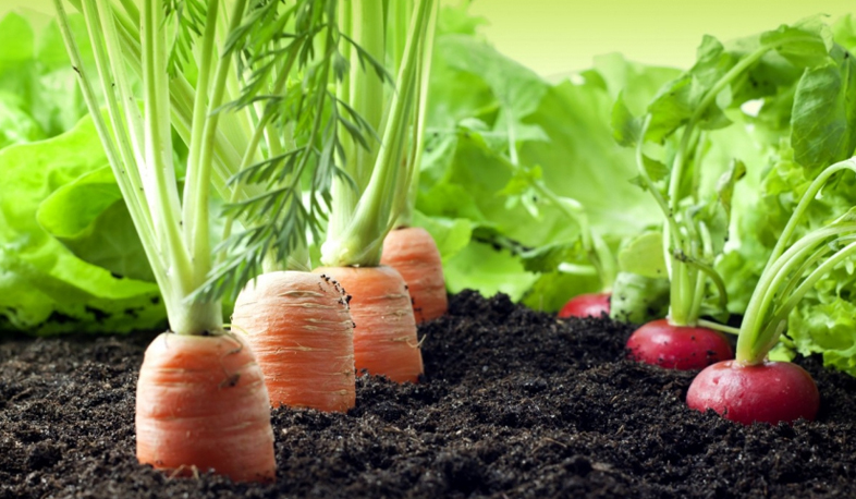 Ապահովագրության ագրոփաթեթ է մշակվում