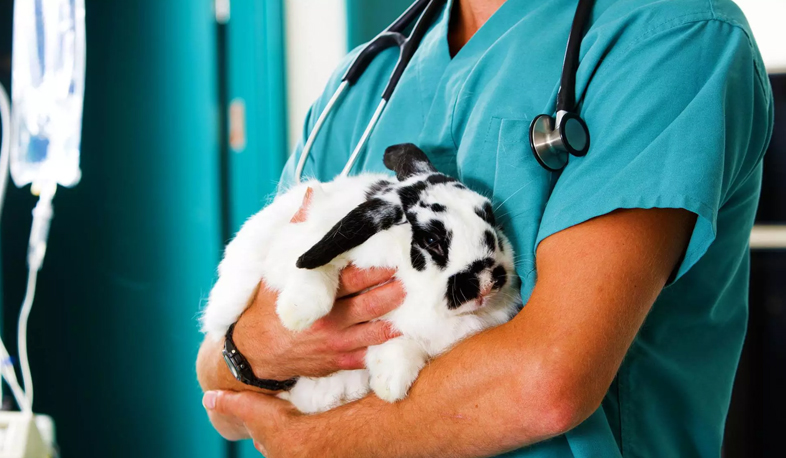 Բոլոր համայնքներն անասնաբույժ կունենան