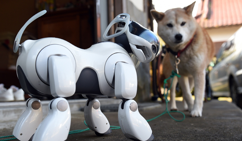 Արհեստական ինտելեկտով շունը