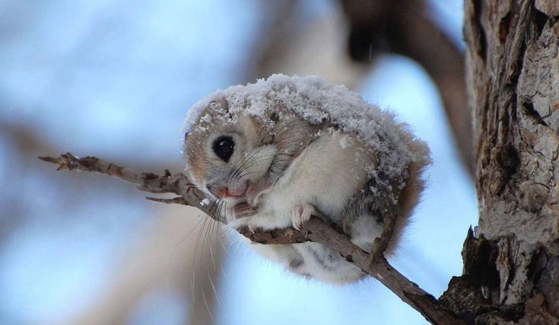 Տեղումները կշարունակվեն