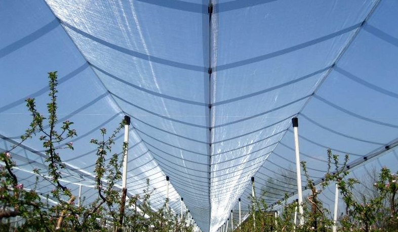 Հակակարկտային ցանցերի ներկրման մրցույթ է հայտարարվում