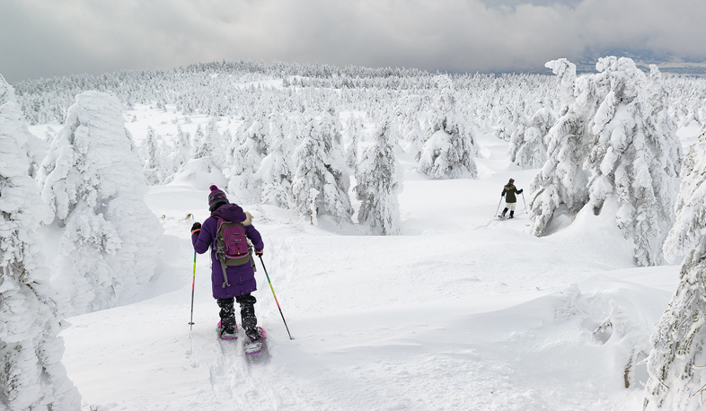 Стихийные бедствия в Японии