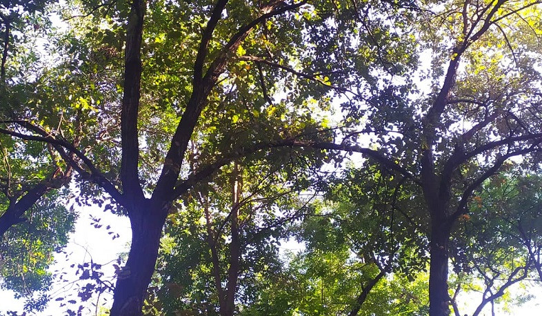 Օդի ջերմաստիճանը կբարձրանա 2-3, այնուհետև կնվազի 5-8 աստիճանով