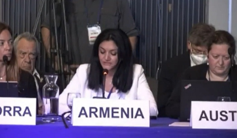 Ադրբեջանի գործողություններն արժանի են միջազգային հանրության կտրուկ արձագանքին․ Լենա Նանուշյանի ելույթը ԱՀԿ-ում