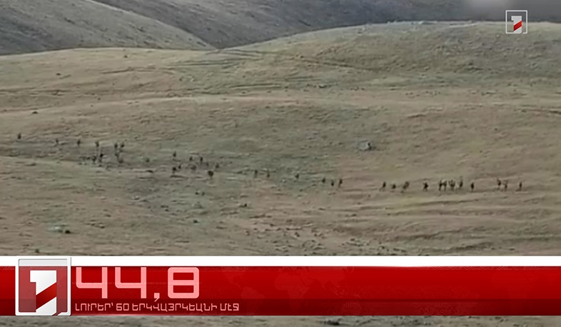 Սեպտեմբեր 13-ը՝ 60 երկվայրկեանի մէջ. արևմտահայերէն լուրեր