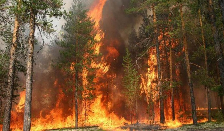 Ջերմուկին հարակից անտառածածկ տարածքում հրդեհ է բռնկվել. իրականացվում են հրդեհաշիջման աշխատանքներ