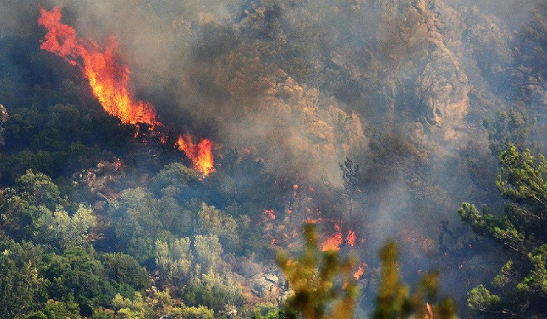 Ադրբեջանի ագրեսիայի հետևանքով առաջացած հրդեհները մեծ վնաս են հասցրել «Ջերմուկ» անտառտնտեսությանը․ Հակոբ Սիմիդյանը դիմել է միջազգային գործընկերներին