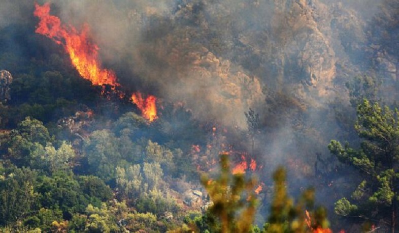 Helicopter crashes en route to Turkish wildfire; 2 killed