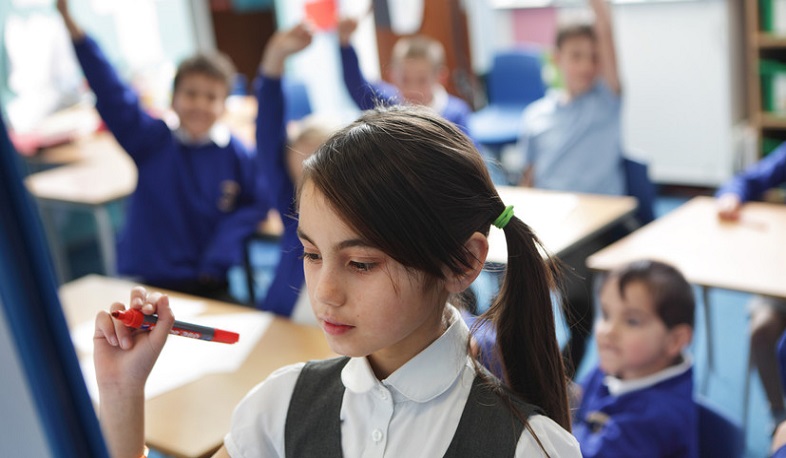 Council of Europe will teach Georgian schoolchildren “democratic processes”: RT