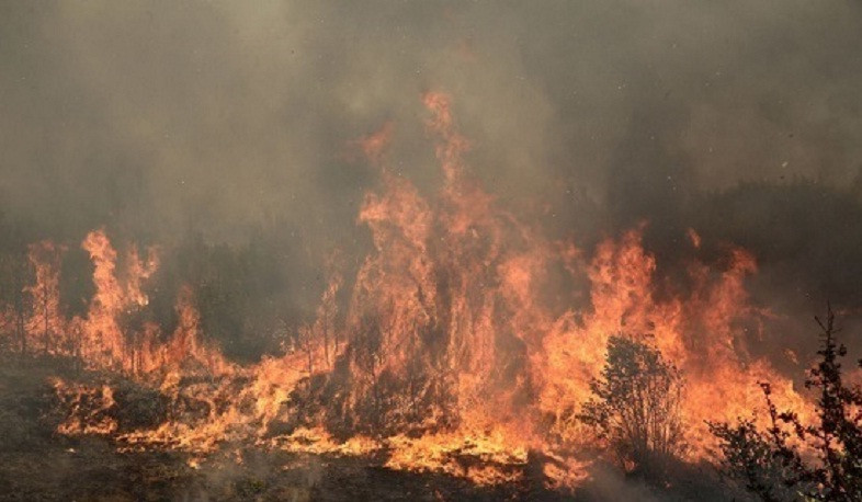 Հրդեհ Գեղամավան գյուղում