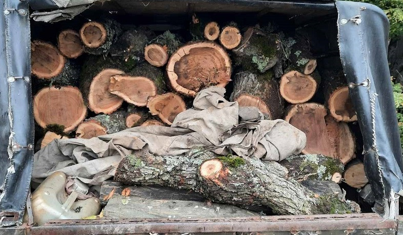 Լոռու մարզում կանխվել է ապօրինի վառելափայտի տեղափոխումը