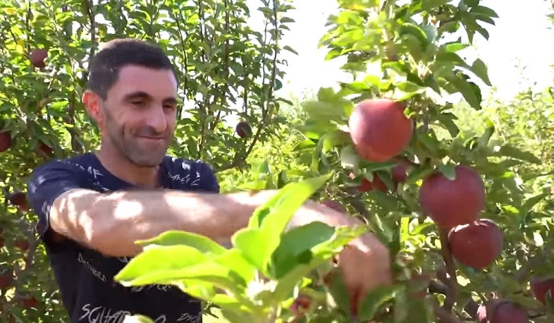 Վարձատրություն պետությունից՝ սեփական այգին մշակելու համար