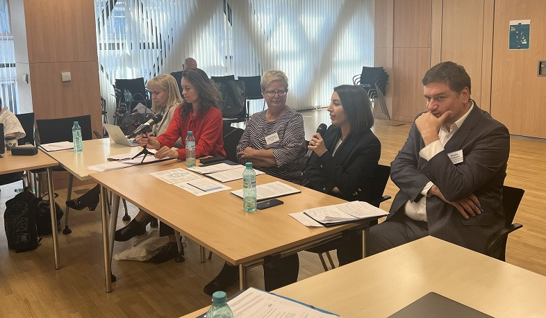 Ներկայացվել են մարդու իրավունքների ազգային հաստատությունների գործողությունները՝ ուղղված օրենքի գերակայության երաշխավորմանը