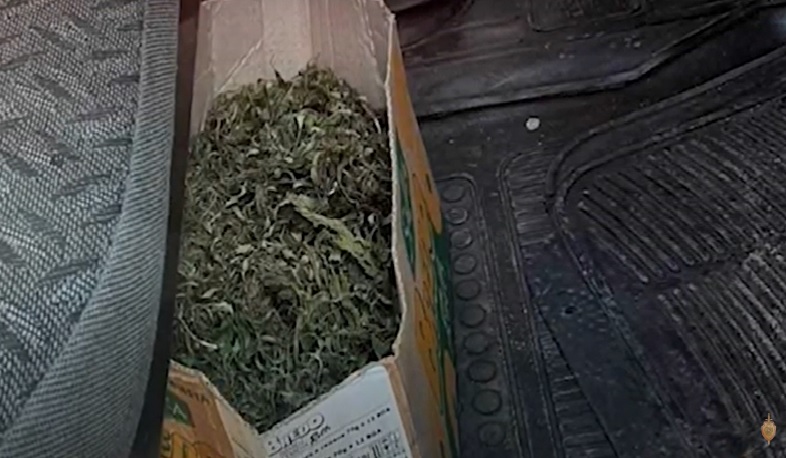 Քրեական ոստիկանության ծառայողները հայտնաբերել են կես կիլոգրամից ավելի մարիխուանա