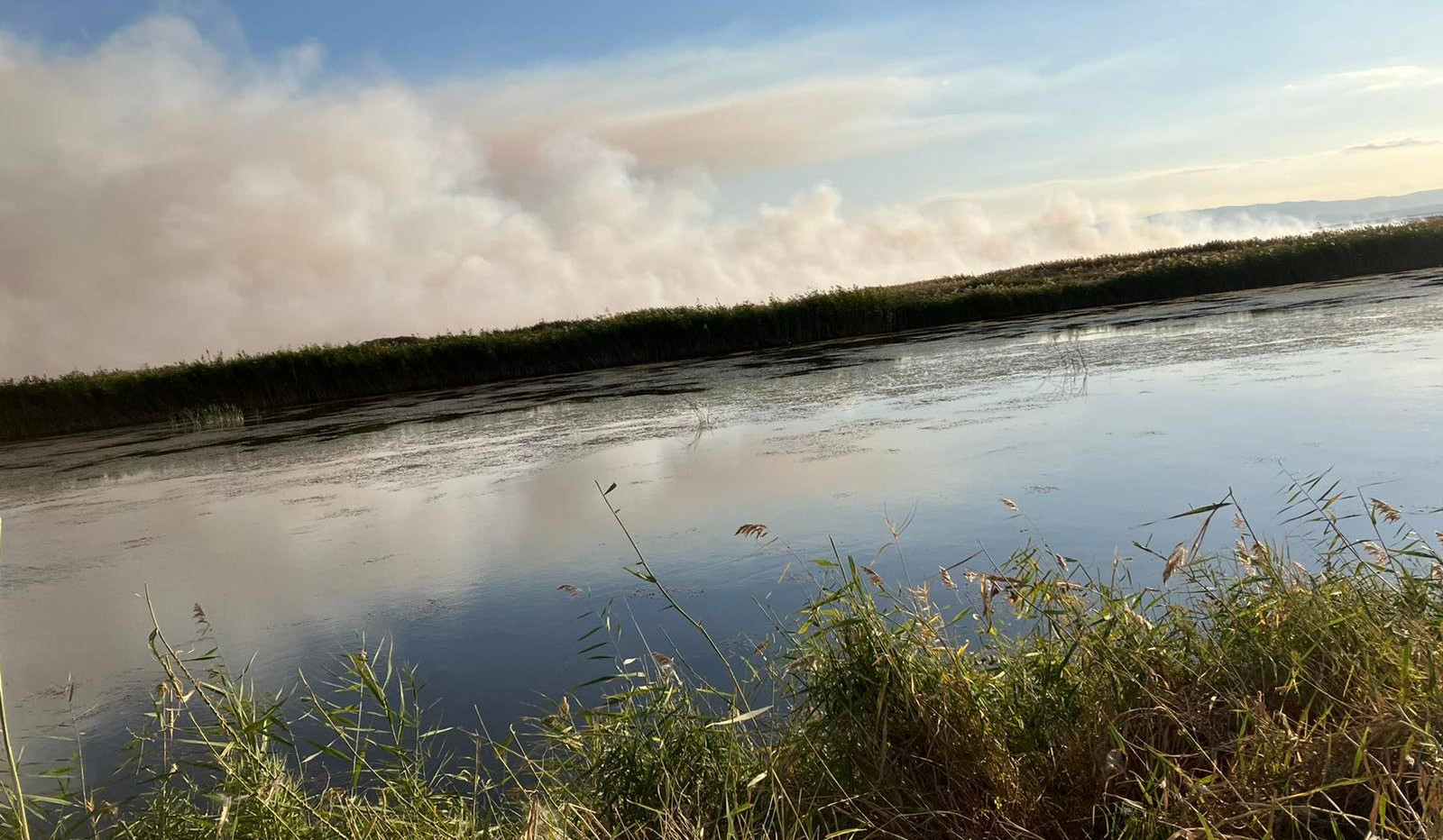 Քաղաքացին կտուգանվի խոզաններն այրելու համար. ԲԸՏՄ