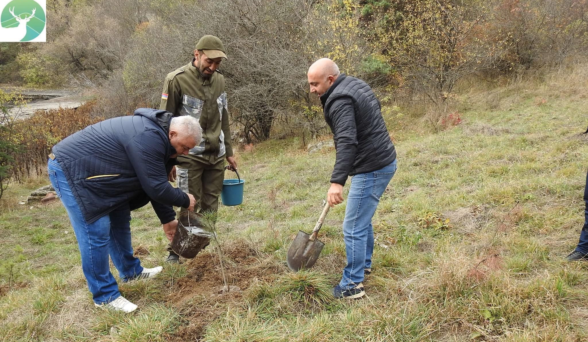«Դիլիջան» ազգային պարկի աշխատակիցները պարկի տարածքում սոճու տնկիներ են տնկել