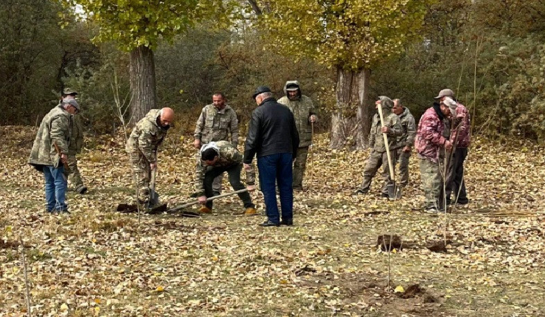 «Սևան» ազգային պարկում 170 բարդի է տնկվել