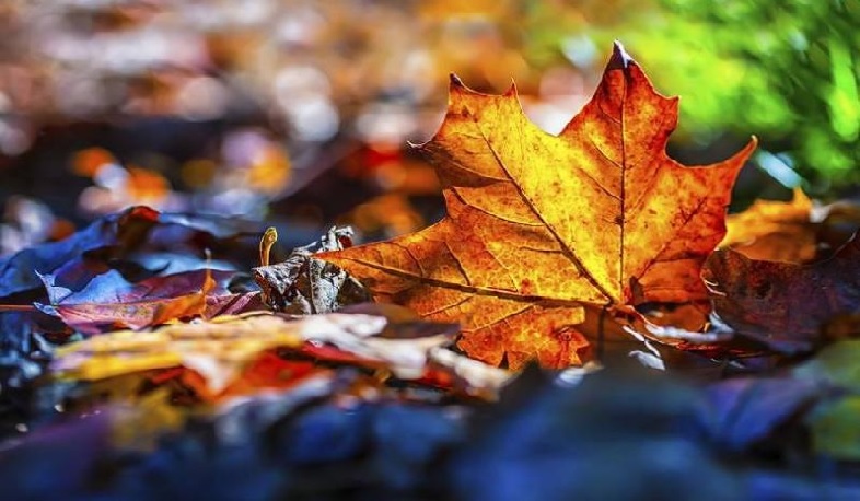 Ջերմաստիճանը կնվազի 3-5 աստիճանով