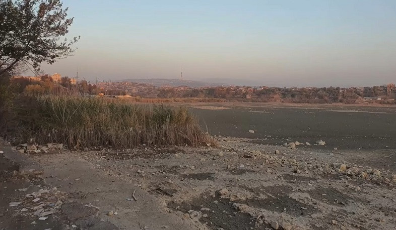 Երևանյան լճի մաքրման ծրագրի շրջանակում ծավալուն աշխատանք է իրականացվել եղեգների չորացման ուղղությամբ