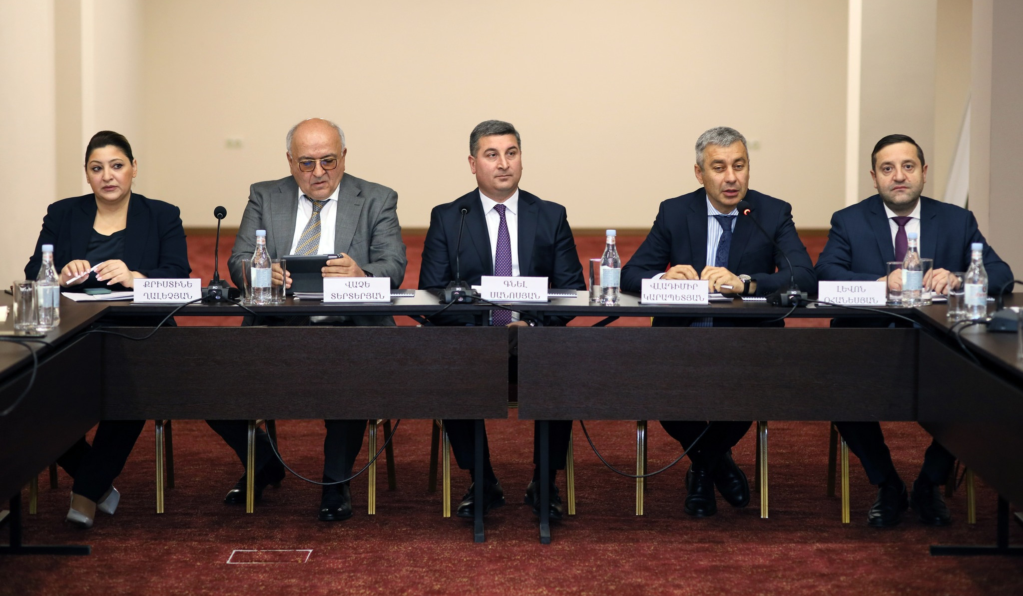 Հայաստանում ներդրումներ իրականացնելու մեծ հնարավորություններ կան. Գնել Սանոսյանը՝ ուկրաինահայ գործարարներին