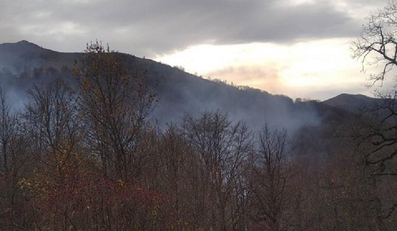 Բերդում վերսկսվել են հրդեհաշիջման աշխատանքները