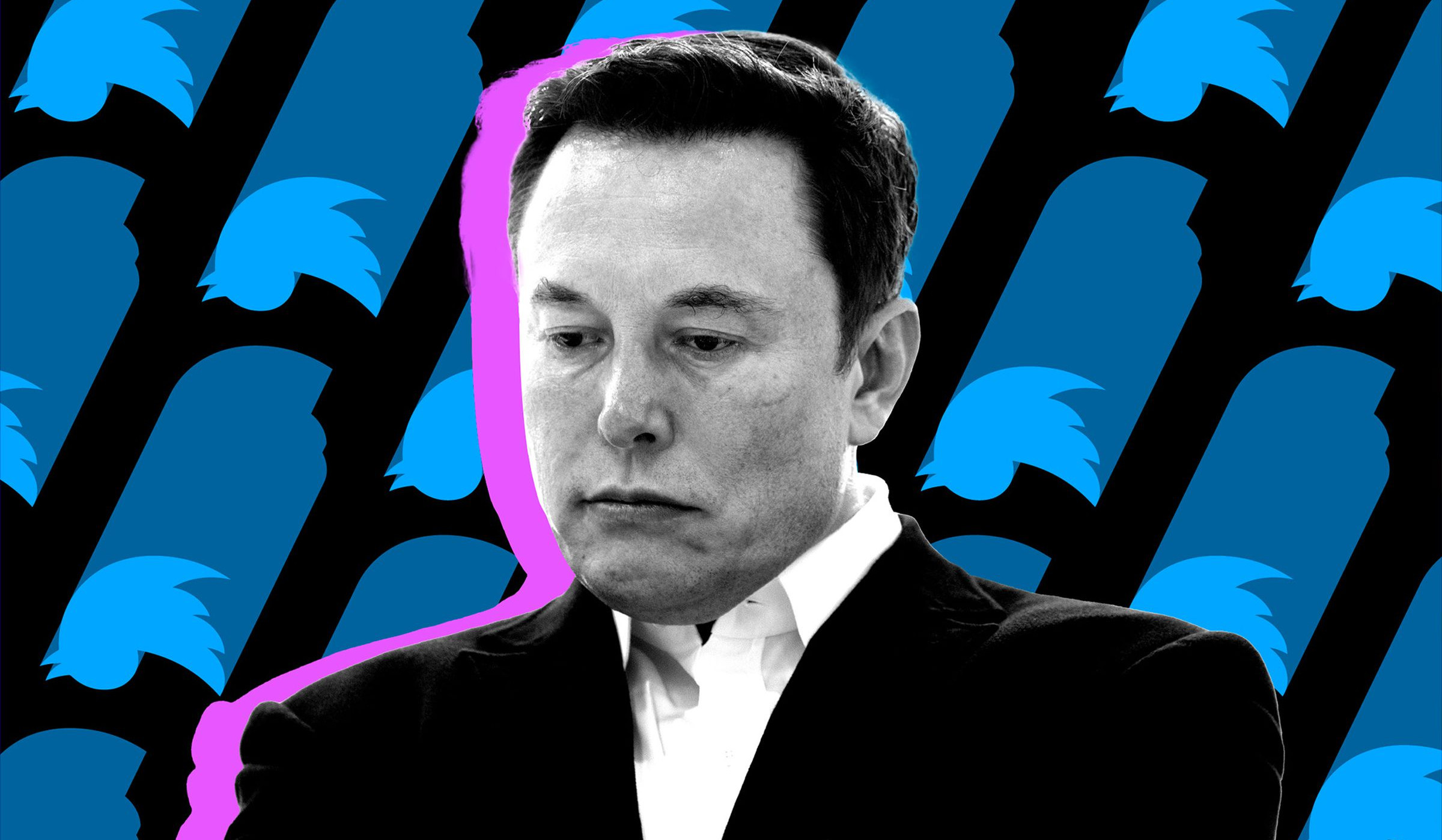 Musk says Twitter to provide 'amnesty' to some suspended accounts starting next week