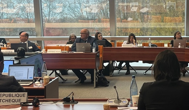 Վաչե Տերտերյանը Ստրասբուրգում ներկայացրել է ՀՀ տեղական ինքնակառավարման բարեփոխումների ընթացքը