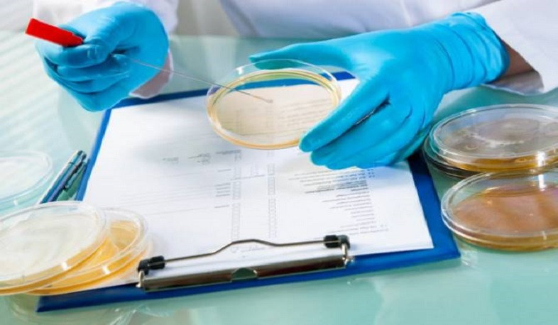 Կասեցվել է վտանգավոր սննդամթերքի արտադրությունը. ՍԱՏՄ