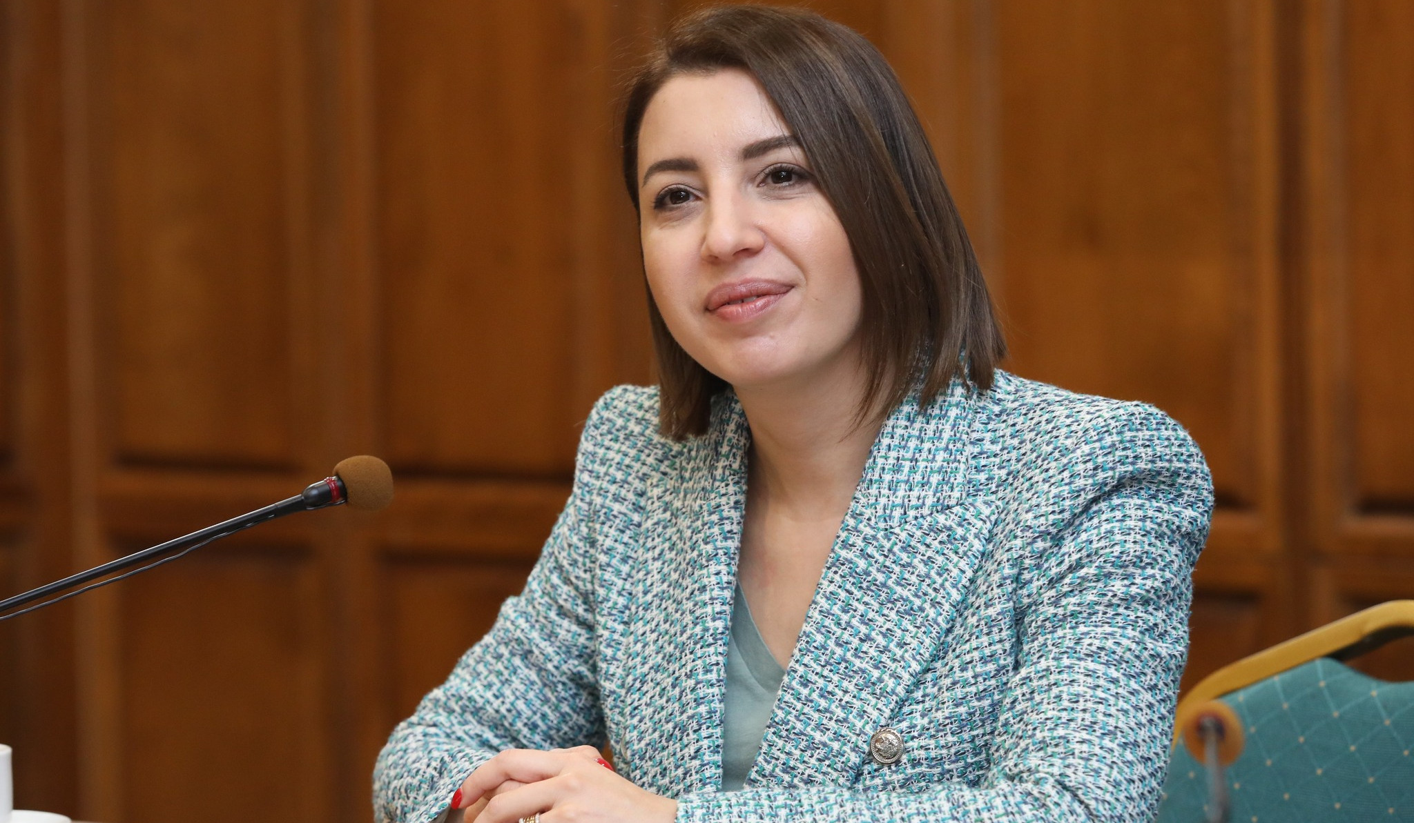 Statement of Human Rights Defender of Armenia on Human Rights Day