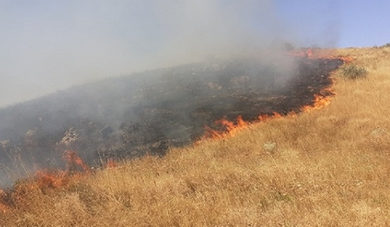 Ծովագյուղի հարակից սարերում խոտածածկ տարածք է այրվել