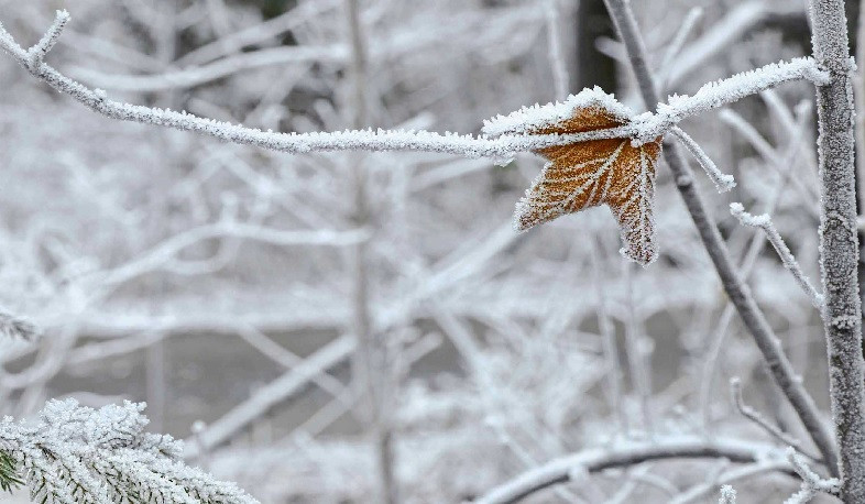 Ջերմաստիճանը փետրվարի 3-ի գիշերը կնվազի 8-10 աստիճանով