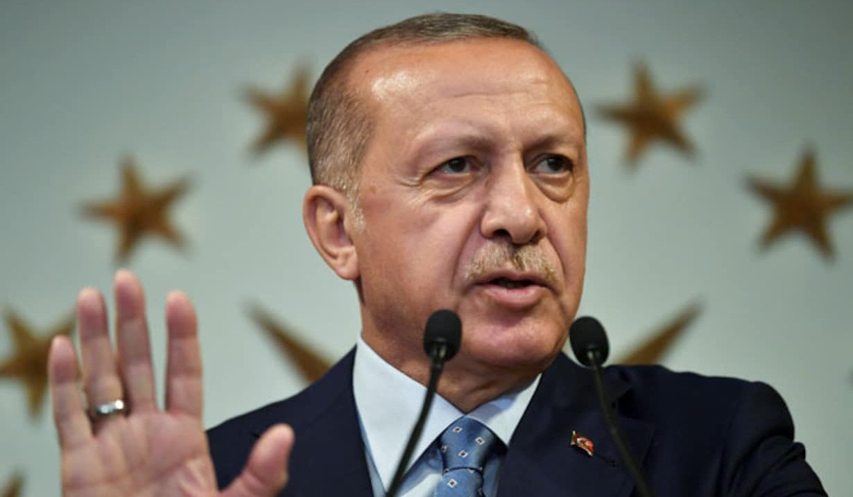 Turkey looks positively on Finland's NATO bid but not on Sweden's: Erdogan