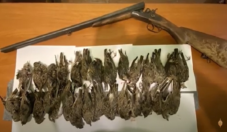 Բաղրամյանի ոստիկանները որսագողության դեպք են բացահայտել