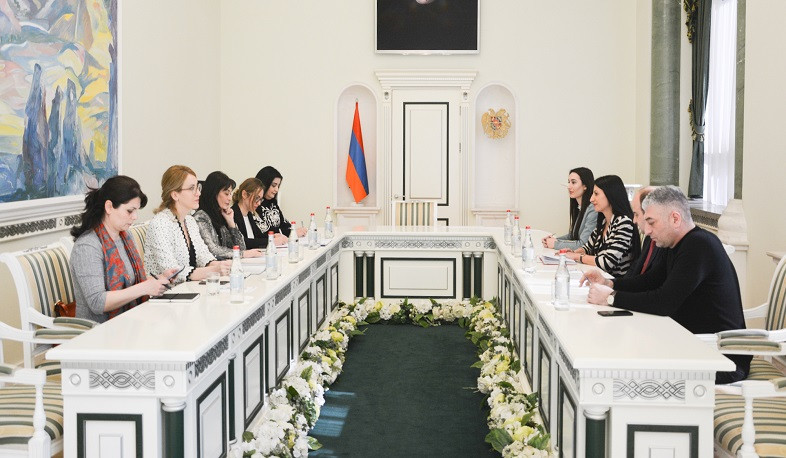 Անահիտ Մանասյանը ԵԽ գործընկերների հետ քննարկել է համագործակցության զարգացման հեռանկարները