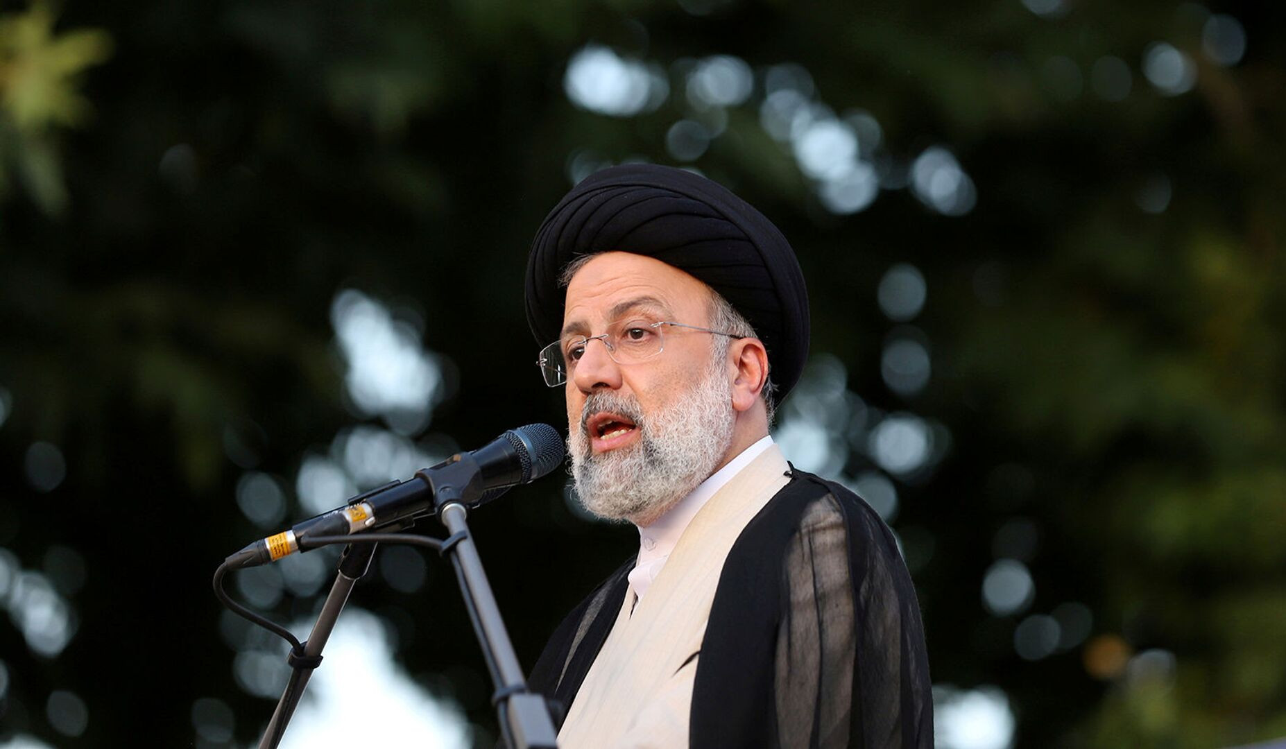 Planting 1bn trees in 4 years a valuable step for preserving environment, country's sustainable development, Iran’s Raisi says