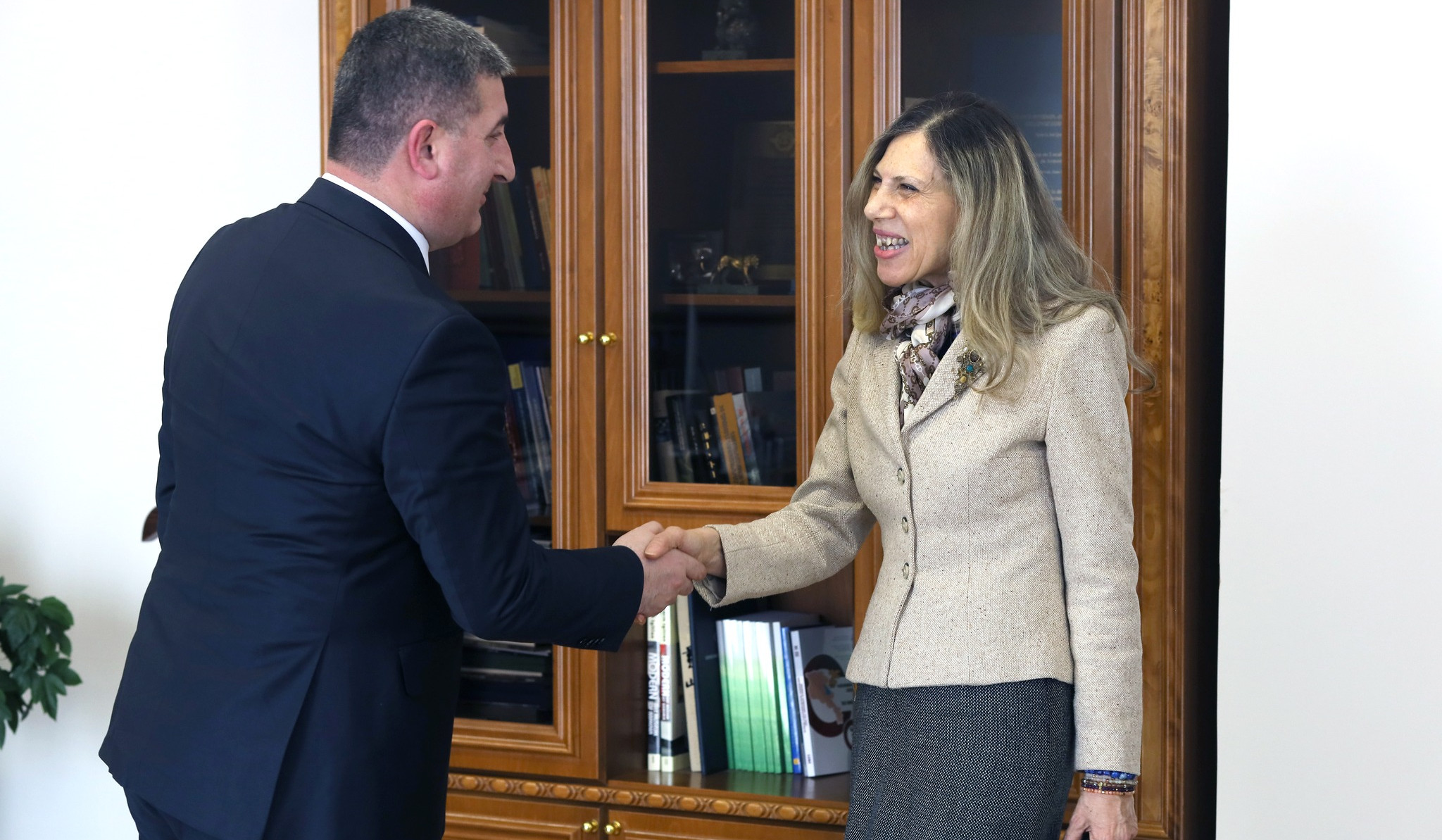 ՏԿԵ նախարարը և Եգիպտոսի դեսպանը քննարկել են Հայաստանում ներդրումային հնարավորությունները