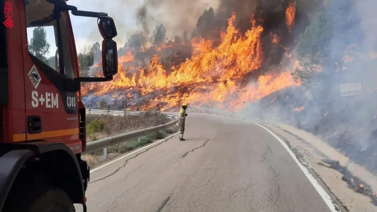 Kebakaran hutan mengamuk di provinsi Spanyol Valencia