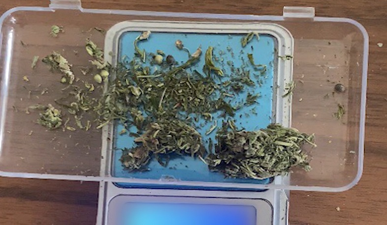 Տելեգրամով շոկո էր ձեռք բերել, իսկ հողամասում մարիխուանա աճեցրել. 41-ամյա քաղաքացին բռնվել է