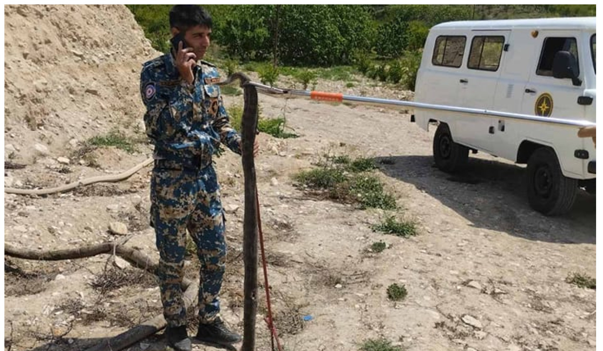 Ասկերանում օձը հայտնվել է բնակելի տանը