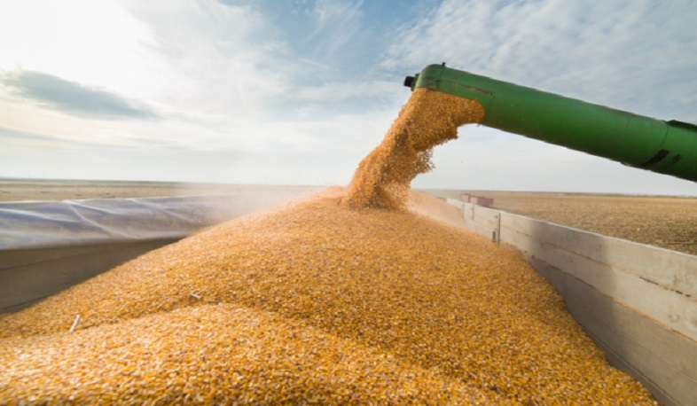 В Польше заявили, что отказ продлить запрет на экспорт зерна с Украины станет ошибкой