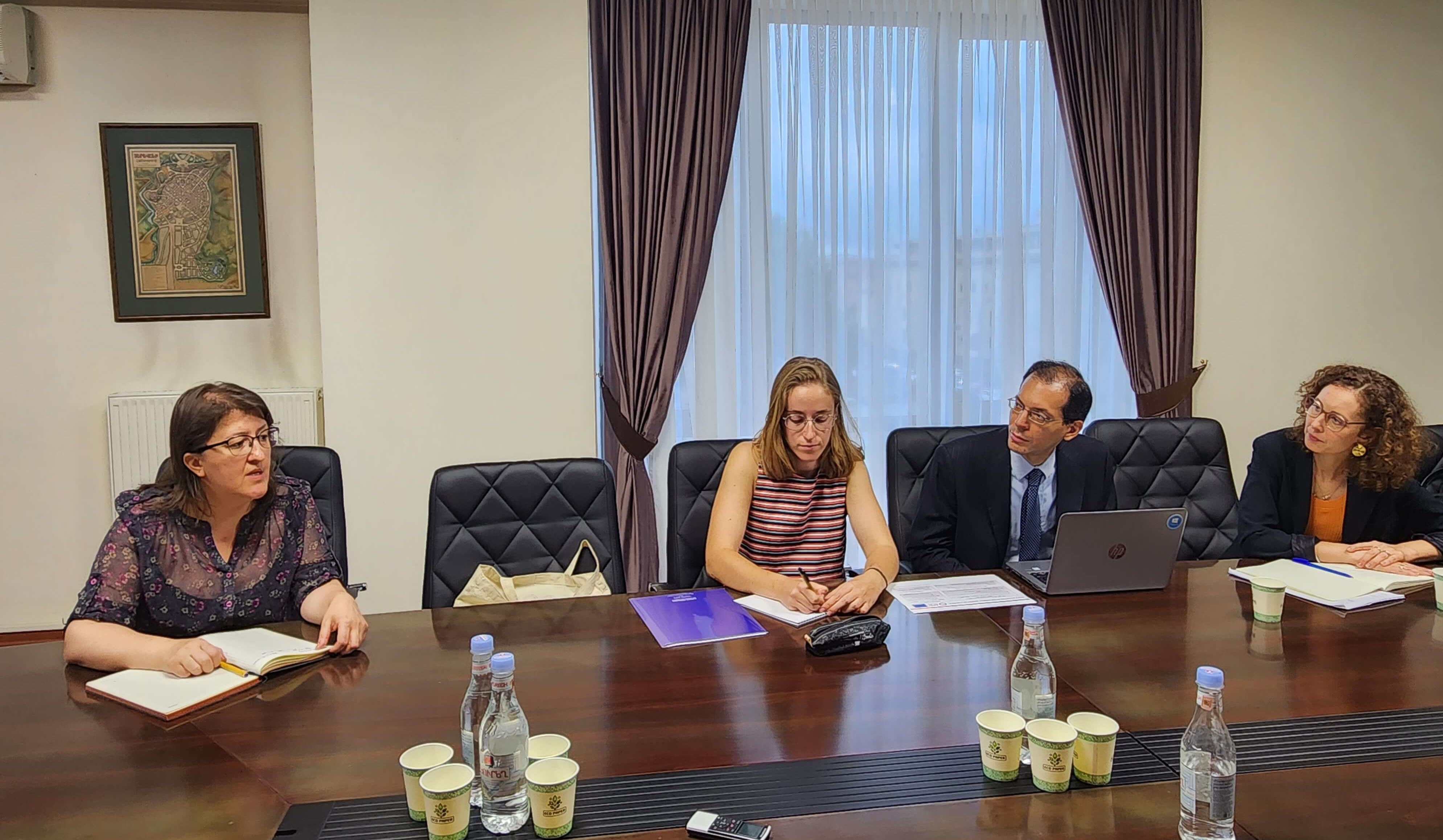 Քաղաքաշինության կոմիտեն և Զարգացման ֆրանսիական գործակալությունը քննարկել են շենքերի էներգաարդյունավետության վերաբերյալ հարցեր