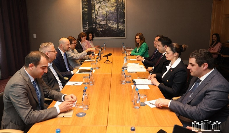 Հայաստանը շարունակելու է անել հնարավորը տարածաշրջանի անվտանգության և խաղաղության համար. Ալեն Սիմոնյան