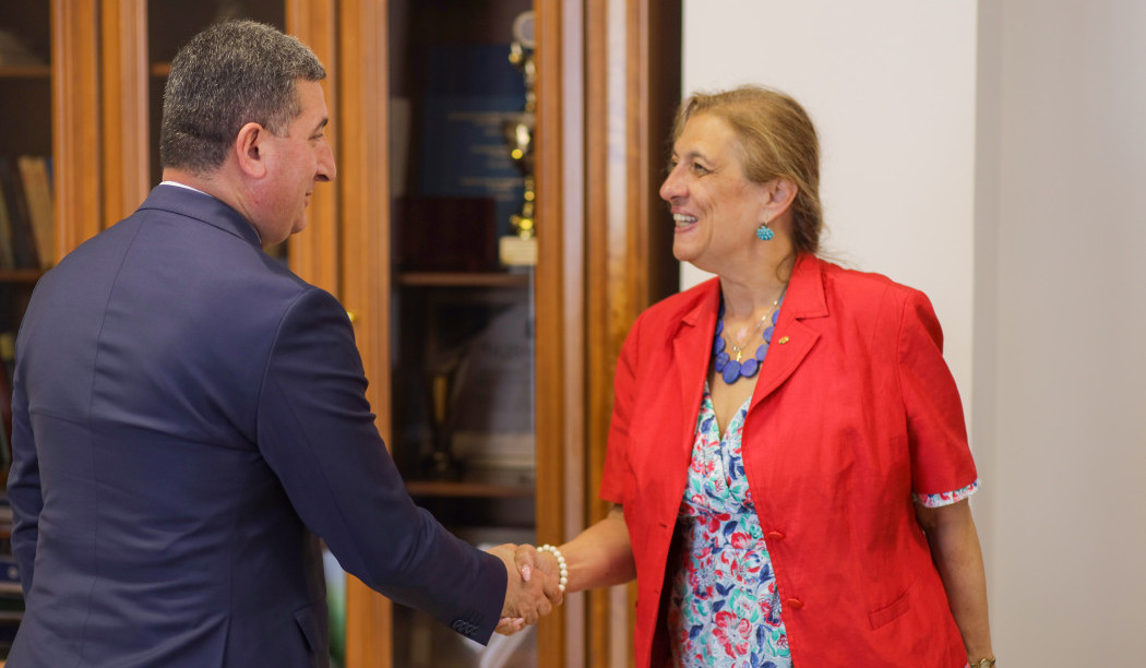 ՏԿԵ նախարարը Հունգարիայի դեսպանի հետ քննարկել է էներգետիկայի և տրանսպորտի ոլորտներին առնչվող հարցեր