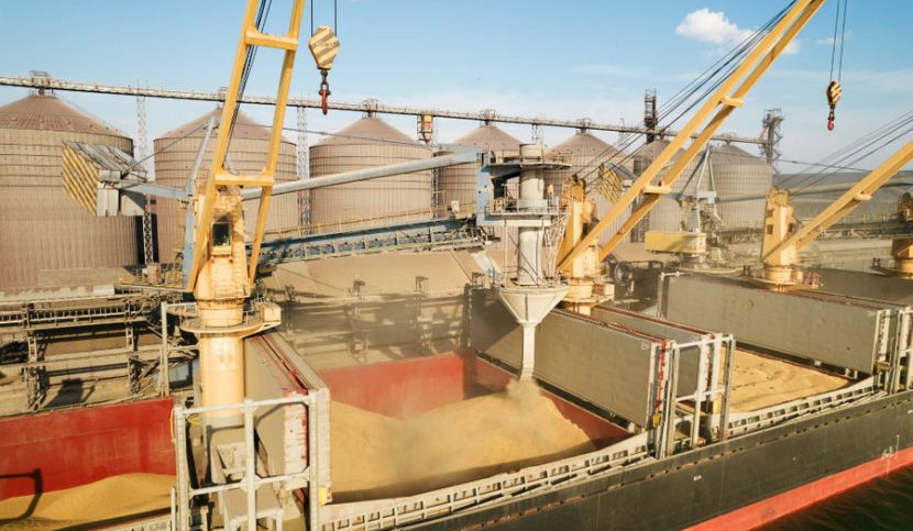 For more than two weeks, ships involved in grain deal have not been able to enter Black Sea: United Nations